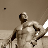 Troy Hammer - Picture 10