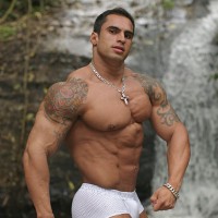 Samuel Vieira - Picture 8