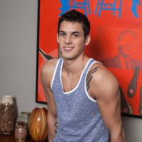 Logan Milano - Picture 1