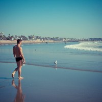 Welcome to LA, Venice - Picture 3