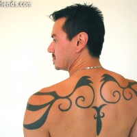 A wild guy - Picture 5