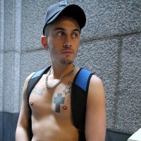 French stud Mickael David - Picture 9