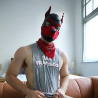 Pup Benji - Picture 14