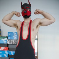 Pup Benji - Picture 16