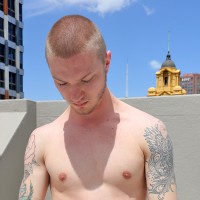Sarpa Van Rider - Picture 10