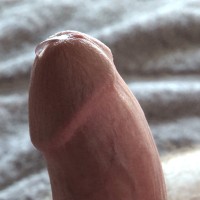 King Of The Twinks - Picture 8