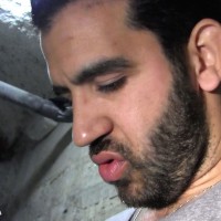 Arab Studs Kusay and Axel Lorentz - Picture 9