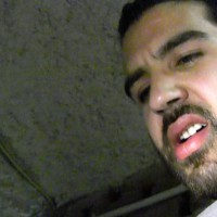 Arab Studs Kusay and Axel Lorentz - Picture 22