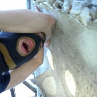 Arab Gangster Thug Takes What He Wants - Picture 6
