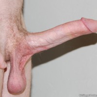 Scott Isaac - Picture 7
