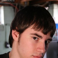Steve Arbor - Picture 2