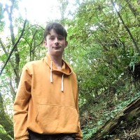 Andy Companion solo - Picture 2