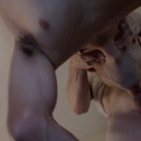 Life shot - Picture 34