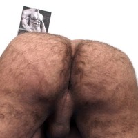 The gay coach - Picture 12