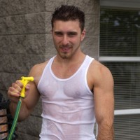 Gregg - Picture 1