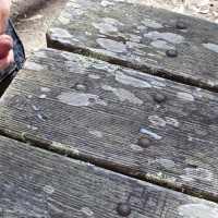 Rand Wood solo - Picture 23