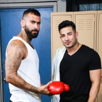 Matured muscle - Picture 1