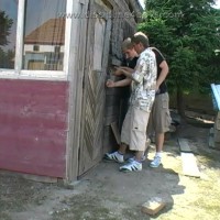 Caught in the shed - Picture 1