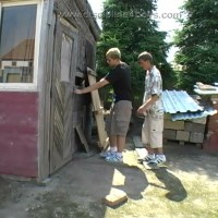 Caught in the shed - Picture 2