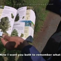 Botany - Picture 6