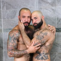 Wet bears - Picture 7