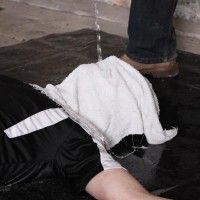 Scott Williams and Ashton Bradley - Picture 2