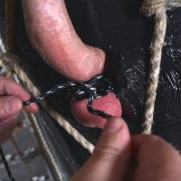 Bound up & made to jizz - Picture 20