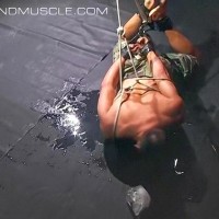 Joseph Draggon - Picture 12