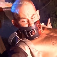 Officer ball tug still struggles - Picture 7