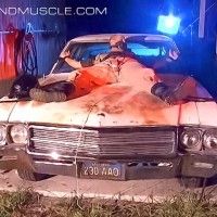 Officer ball tug still struggles - Picture 20