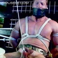 His balls are pulled so tight - Picture 12