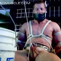 His balls are pulled so tight - Picture 13