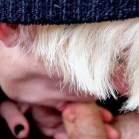 Erik Reese & Trace Van De Kamp - Picture 12