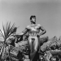 Dave Lancaster - Picture 1