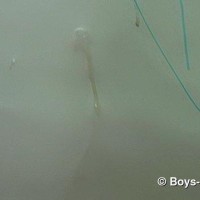 Three straight boys-piss games - Picture 14