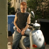 Dobie - Picture 6