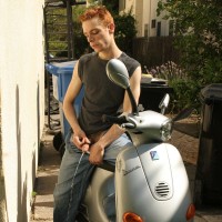 Dobie - Picture 10