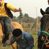 Gunners, Robbers and Fuckers - Picture 3