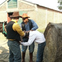A farm boy gets seduced - Picture 2