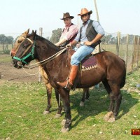 Guy tasting cowboys' dicks - Picture 1