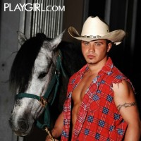 Nick stripping - Picture 1