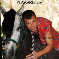 Nick stripping - Picture 2