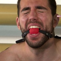 Lukas - Picture 32
