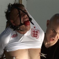 Toby - Picture 14