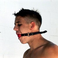 Toby - Picture 19