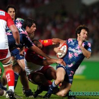 Rugby stars dicks - Picture 4
