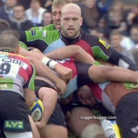Harlequins rugby star George Robson - Picture 8
