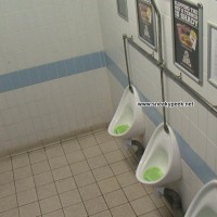 Football Club Urinals - Picture 1