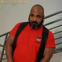 Arabian bear Ali - Picture 2