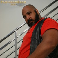 Arabian bear Ali - Picture 5